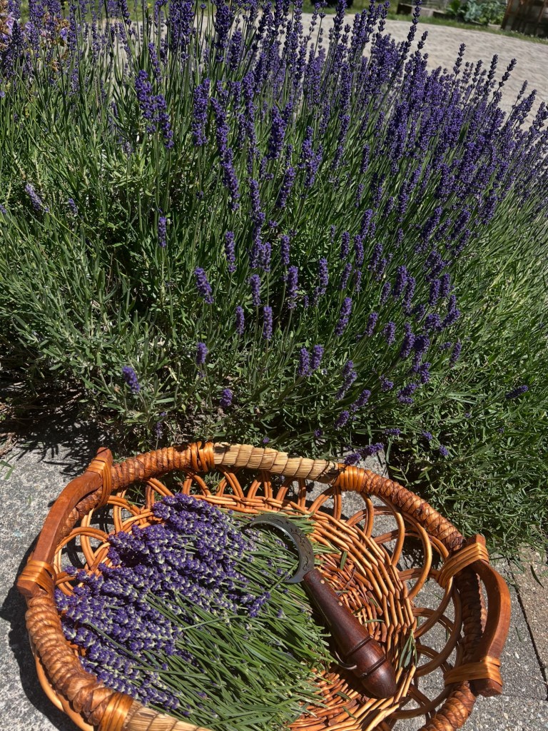 6c8d0089-e048-4372-bb5f-cc90ede70818-1